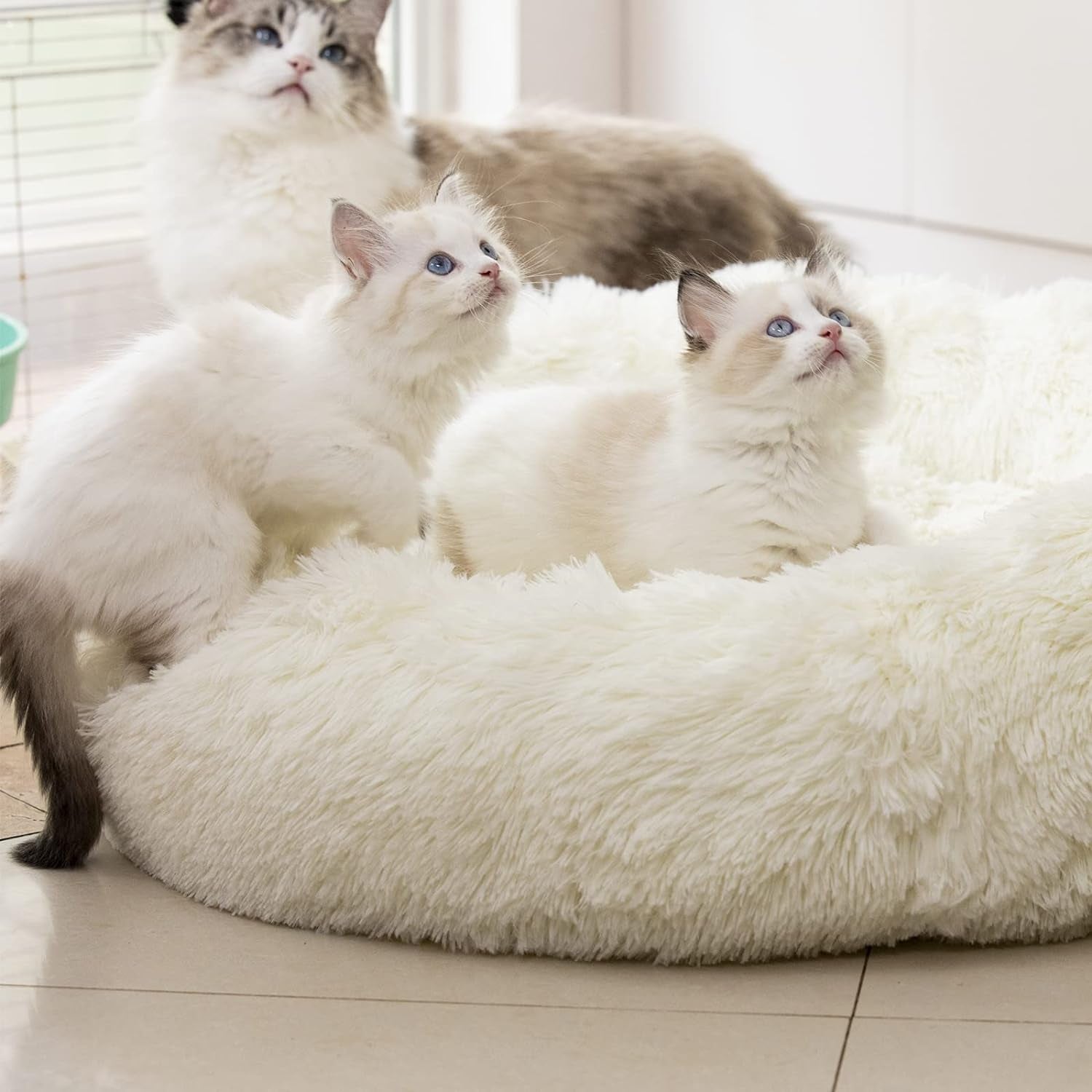 anti Anxiety round Fluffy Plush Faux Fur Warm Washable Dog Bed & Cat Bed, Original Bed for Small Medium Large Pets,Used to Relieve Joints and Improve Sleep（20"/24"/27''） (27", White)