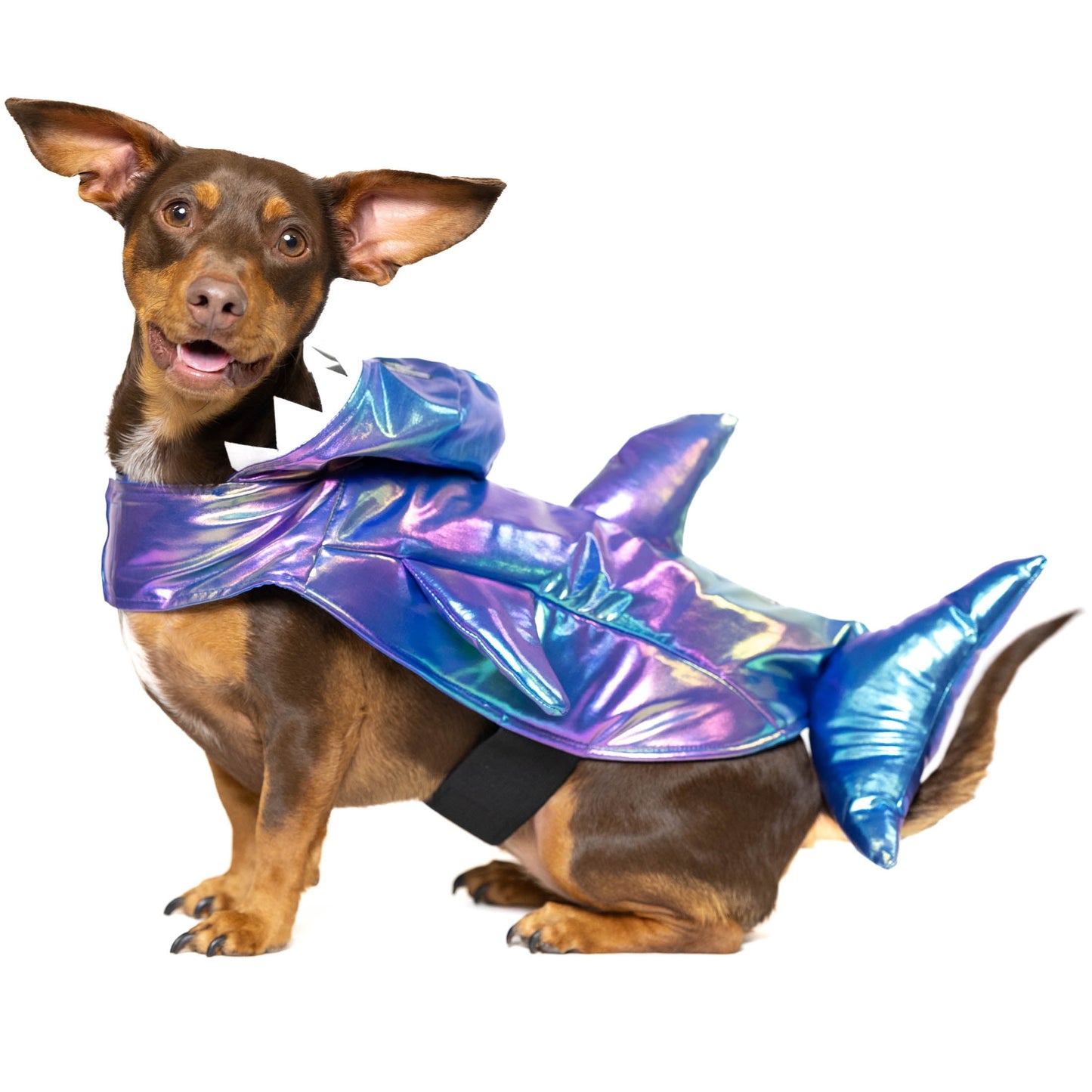 Halloween Dog Costume and Cat Costume: Shark, Size Medium